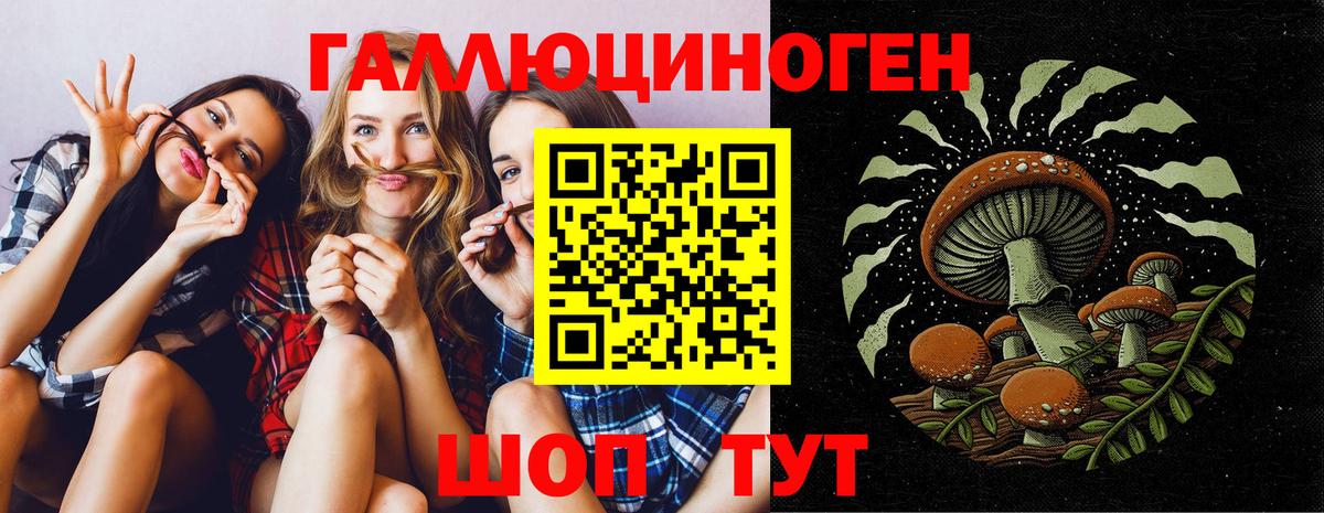 Псилоцибиновые грибы ЛСД  Вход с VPN  Бор  Псилоцибиновые грибы прущие грибы 